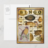 Bingo-Vogel Postkarte (Vorne/Hinten)