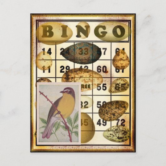 Bingo-Vogel Postkarte (Vorderseite)