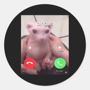 Bingus nennt haarlose Sphinx Katze Bingus Kat Runder Aufkleber