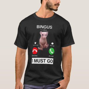 Bingus nennt haarlose Sphynx Cat Meme T-Shirt