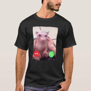 Bingus nennt meine geliebte haarlose Sphinxkatze 1 T-Shirt