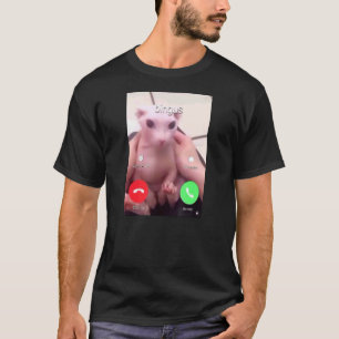 Bingus nennt meine geliebte haarlose Sphinxkatze 1 T-Shirt