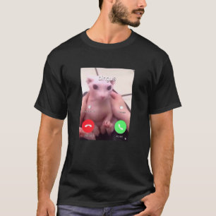 Bingus Ruft Meine Geliebte Haarlose Sphinxkatze 1 T-Shirt