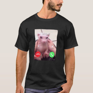 Bingus Ruft Meine Geliebte Haarlose Sphinxkatze 1 T-Shirt