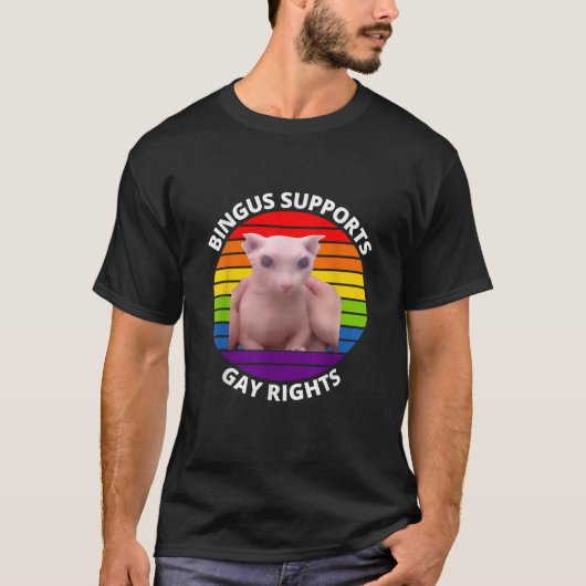 Bingus unterstützt Gay Rights Haare-Sphinx Bingus T-Shirt (Vorderseite)