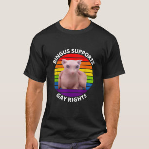 Bingus unterstützt schwule Rechte haarloser Sphinx T-Shirt
