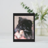 BINKIE POSTKARTE (Stehend Vorderseite)