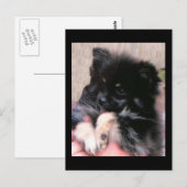 BINKIE POSTKARTE (Vorne/Hinten)