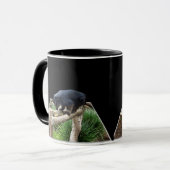 Binturong (Barkatze), Stehend auf einem Rundholz, Tasse (Vorderseite Links)