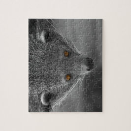 Binturong Puzzle