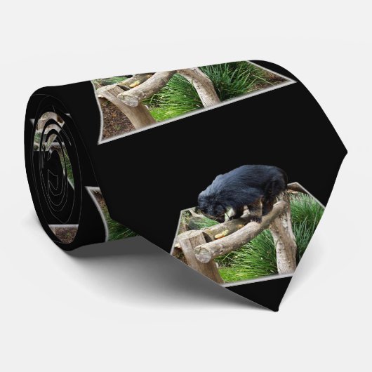 Binturong Stehend auf einer Holzbahn, Krawatte (Gerollt)