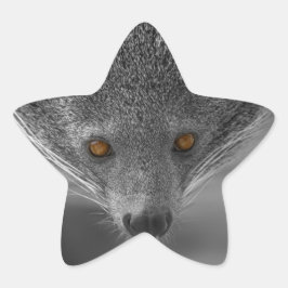 Binturong Stern-Aufkleber