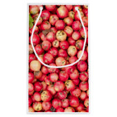 Bio Äpfel Kleine Geschenktüte (Rückseite)