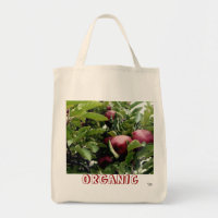 Bio Äpfel Lebensmittelgeschäft Tote Tasche