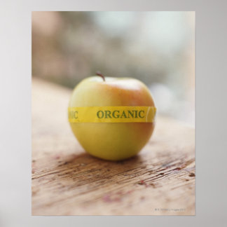 Bio Aufkleber auf Apfel Poster