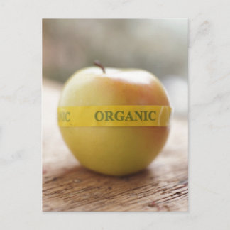 Bio Aufkleber auf Apfel Postkarte