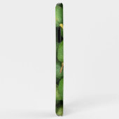 Bio Avocados Case-Mate iPhone Hülle (Hinten/Rechts)