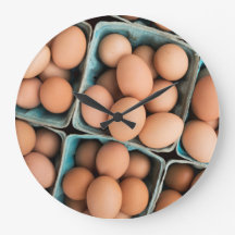 Bio Eier in den Kisten