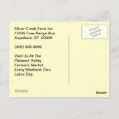 Bio Eier mit Freilandhaltung Hühnermarkt POSTCARD Postkarte (Rückseite)