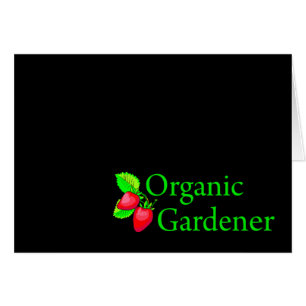 Bio Gardener - Erdbeeren