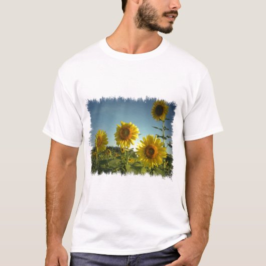 Bio Garten-Sonnenblume T-Shirt (Vorderseite)