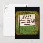 Bio Gras Gefüttert Eier und Gebüsch Postkarte (Vorne/Hinten)