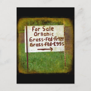 Bio Gras Gefüttert Eier und Gebüsch Postkarte