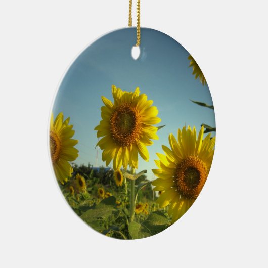 Bio im Garten arbeitenverzierung Keramikornament (Rechts)