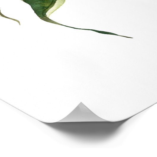 Bio Mais Poster (Ecke)