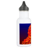 Bio Meditation Trinkflasche (Links)