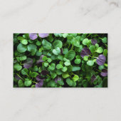 Bio Microgreens Visitenkarte (Rückseite)