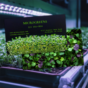 Bio Microgreens Visitenkarte