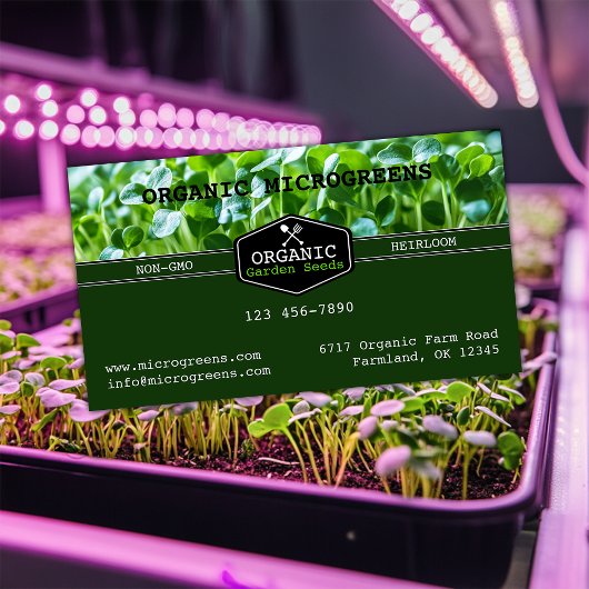 Bio Microgreens Visitenkarte