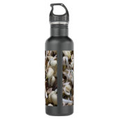 Bio Mung Sprouts - ein nährstoffverpacktes Superfo Edelstahlflasche (Rückseite)