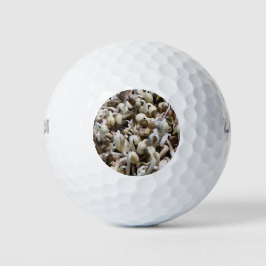 Bio Mung Sprouts - ein nährstoffverpacktes Superfo Golfball (Vorderseite)