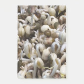 Bio Mung Sprouts - ein nährstoffverpacktes Superfo Post-it Klebezettel (Vorderseite)