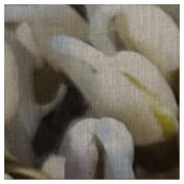 Bio Mung Sprouts - ein nährstoffverpacktes Superfo Stoff (Muster)