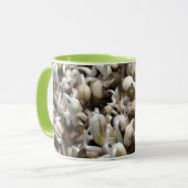 Bio Mung Sprouts - ein nährstoffverpacktes Superfo Tasse (Vorderseite Links)