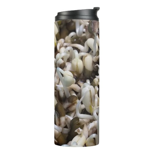 Bio Mung Sprouts - ein nährstoffverpacktes Superfo Thermosbecher (Nach links gedreht)