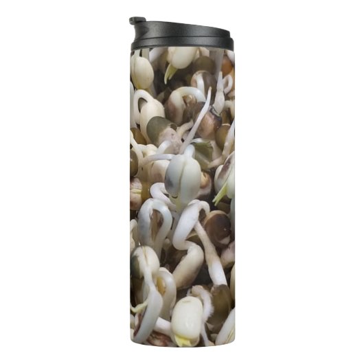 Bio Mung Sprouts - ein nährstoffverpacktes Superfo Thermosbecher (Nach rechts gedreht)