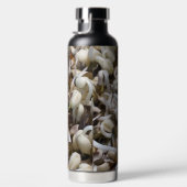 Bio Mung Sprouts - ein nährstoffverpacktes Superfo Trinkflasche (Rechts)