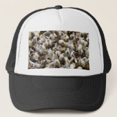 Bio Mung Sprouts - ein nährstoffverpacktes Superfo Truckerkappe (Vorderseite)