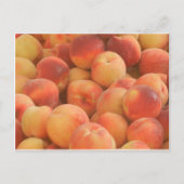 Bio Pfirsiche Postkarte (Vorderseite)