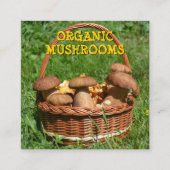 Bio Pilzlieferungen, Bauernplatz Quadratische Visitenkarte (Vorderseite)