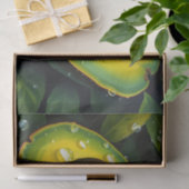 Bio Raingrown Avocado mit Dewdrops Seidenpapier (Geschenk)