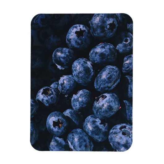 Bio Reifenhaufen Blaubeeren Magnet (Vertikal)