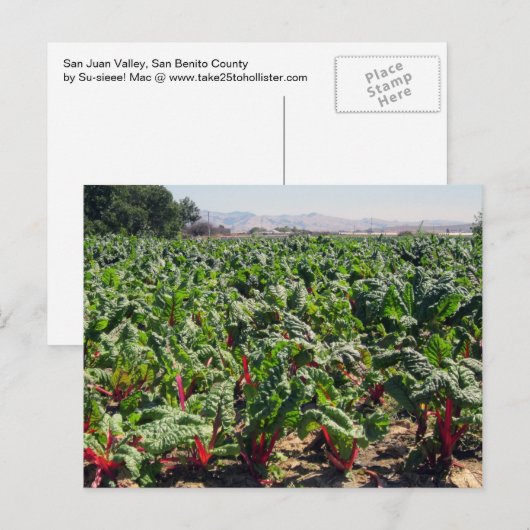 Bio Rotes Meer Postkarte (Vorne/Hinten)