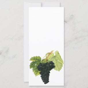 Bio-Traube Rotwein, Lebensmittel Obst