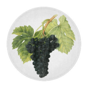 Bio-Weintraube Rotwein, Lebensmittel Obst Schneidebrett