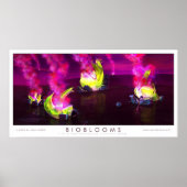 Bioblooms Poster (Vorne)